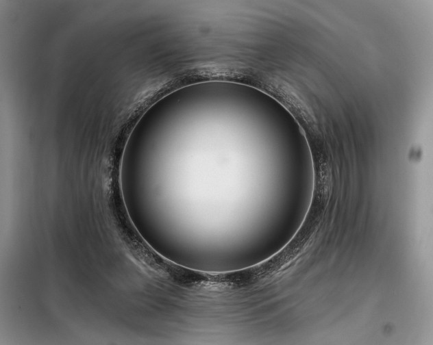 X0000098130255200804171529