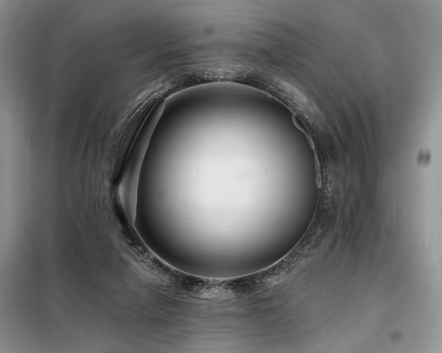 X0000098130258200804171529