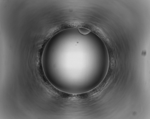 X0000098130259200804171529