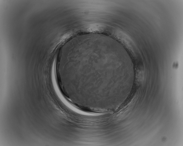 X0000098130260200804171529