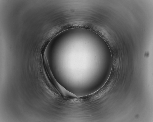 X0000098130261200804171529