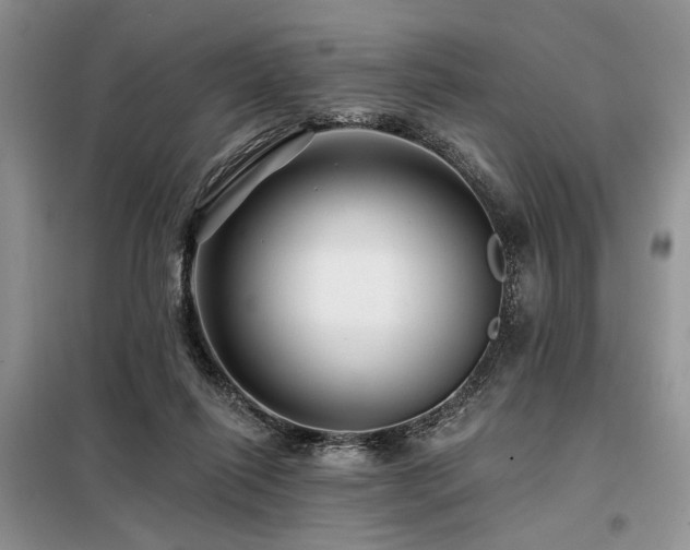X0000098130262200804171529