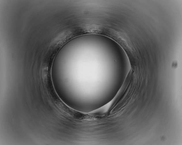 X0000098130263200804171529