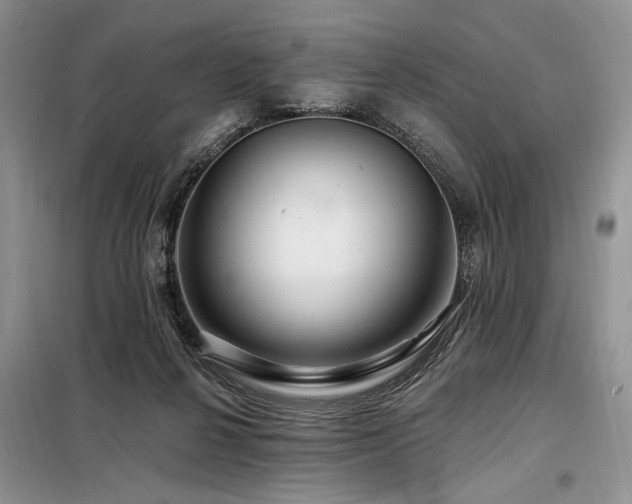 X0000098130264200804171529