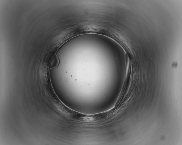 X0000098130265200804171529