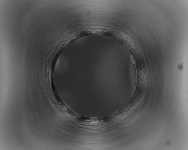 X0000098130267200804171529