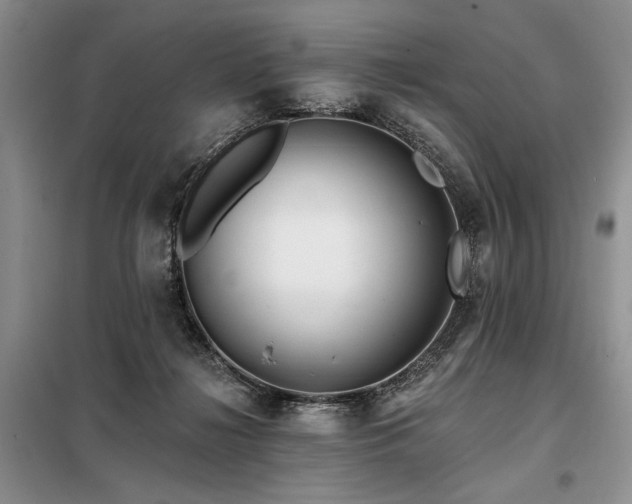 X0000098130268200804171529