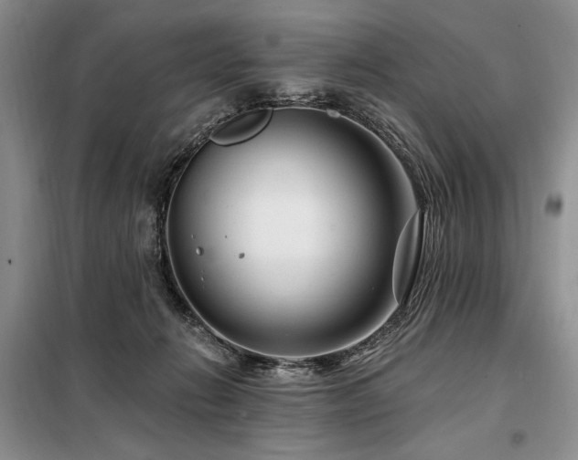 X0000098130270200804171529