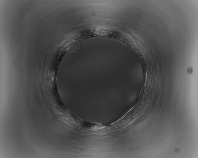 X0000098130271200804171529