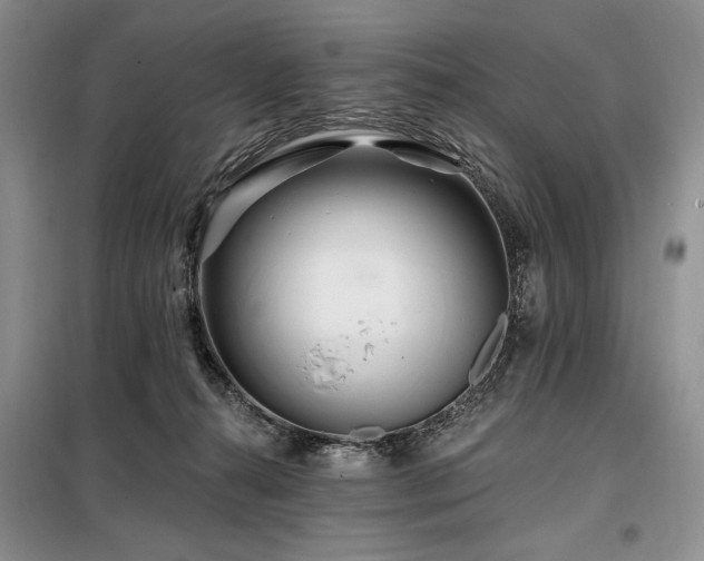 X0000098130272200804171529