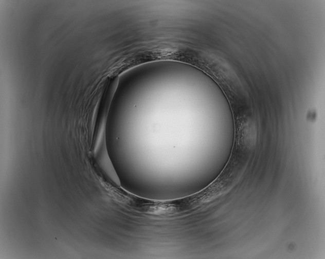 X0000098130274200804171529
