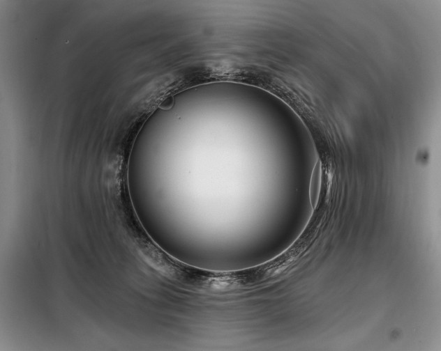 X0000098130275200804171529