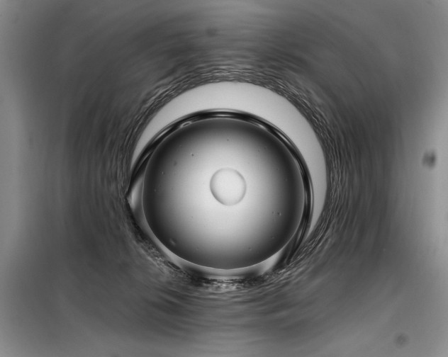 X0000098130276200804171529