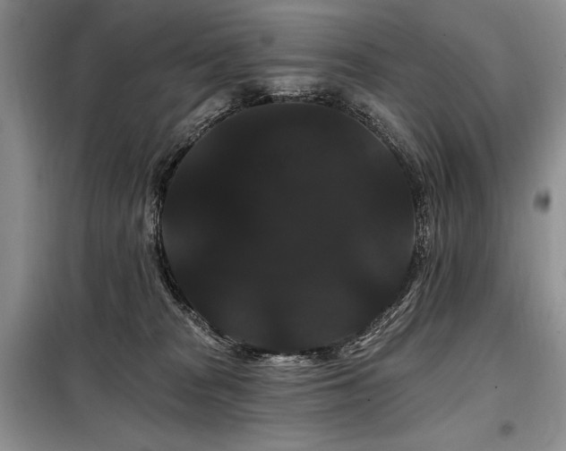 X0000098130277200804171529