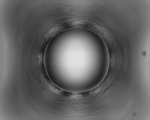 X0000098130278200804171529