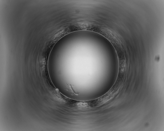 X0000098130279200804171529