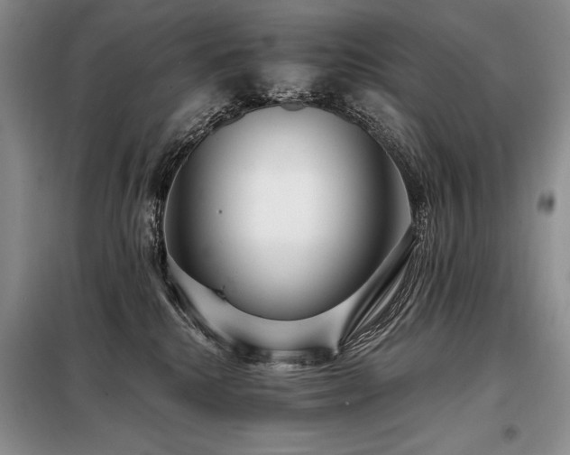 X0000098130280200804171529
