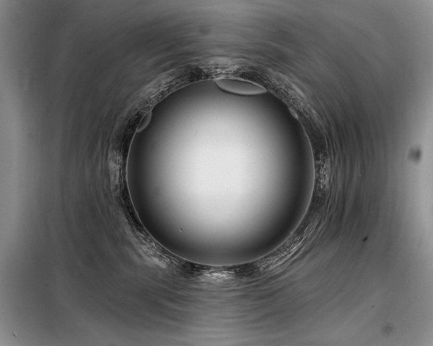 X0000098130283200804171529