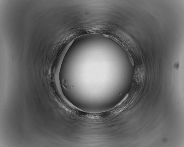 X0000098130284200804171529