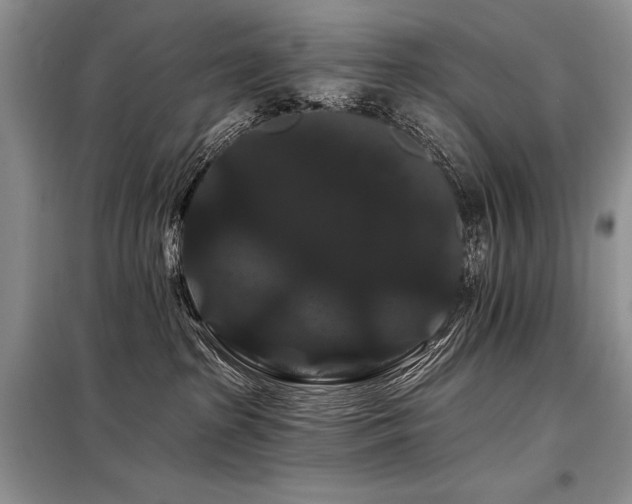 X0000098130285200804171529