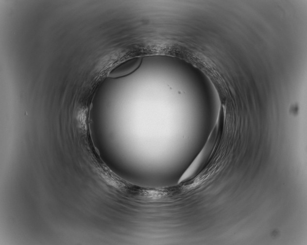 X0000098130286200804171529