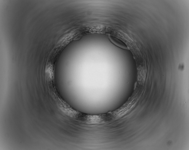 X0000098130287200804171530