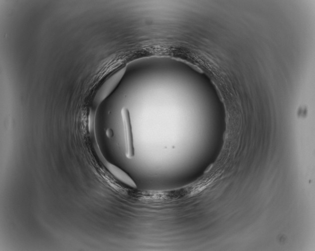 X0000098130288200804171530
