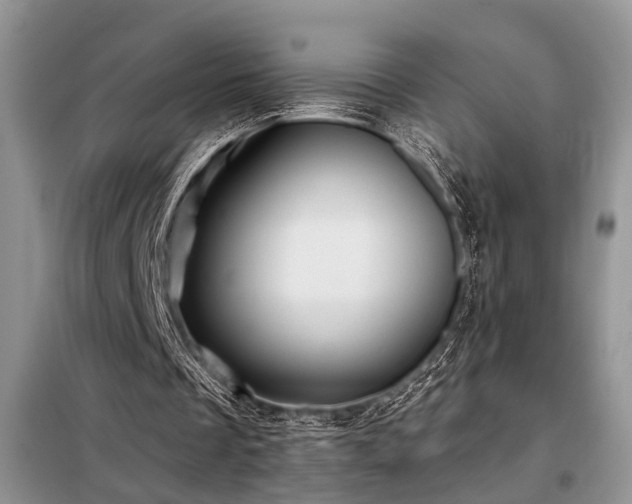 X0000098130289200804171529