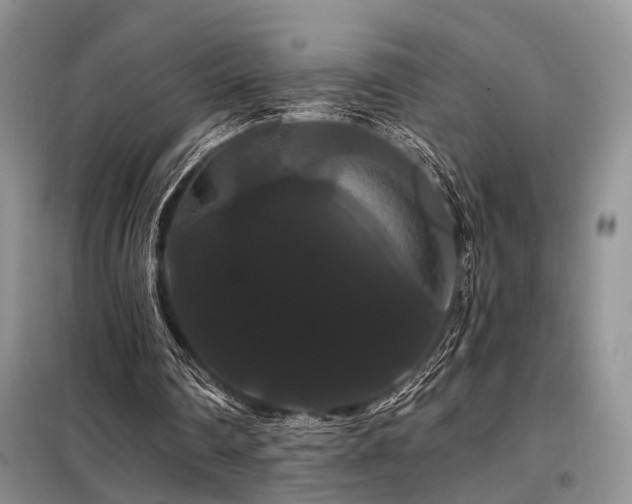 X0000098130290200804171529