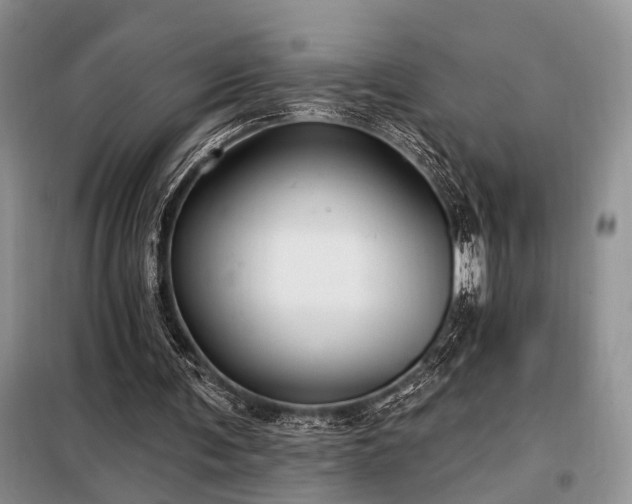 X0000098130291200804171528