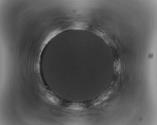 X0000098130292200804171528
