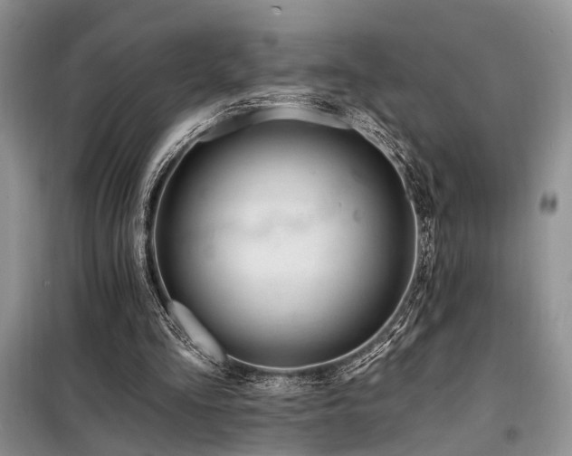 X0000098130293200804171528