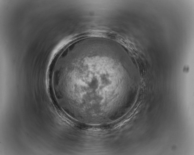 X0000098130294200804171528