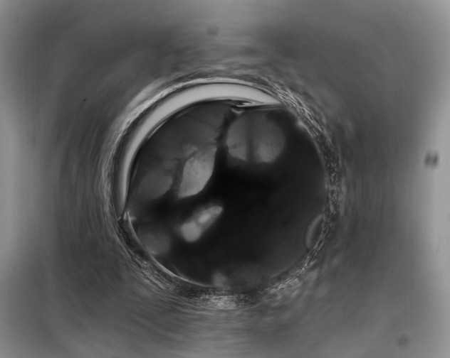 X0000098130295200804171528