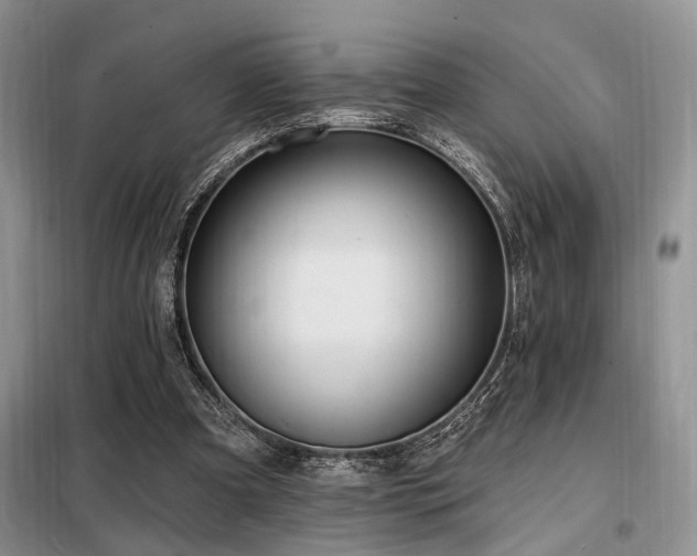 X0000098130297200804171528