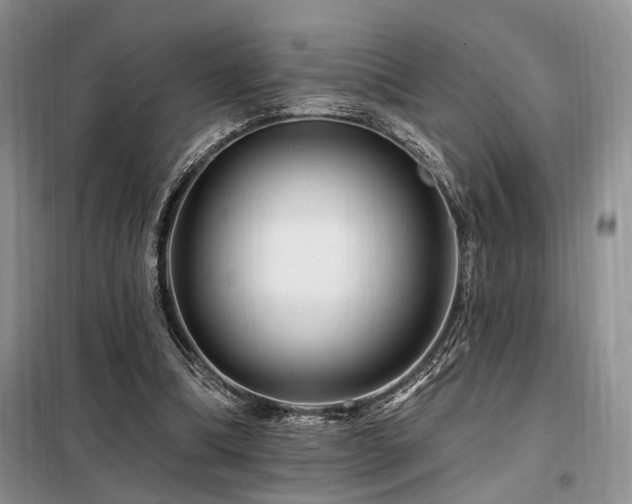 X0000098130298200804171528