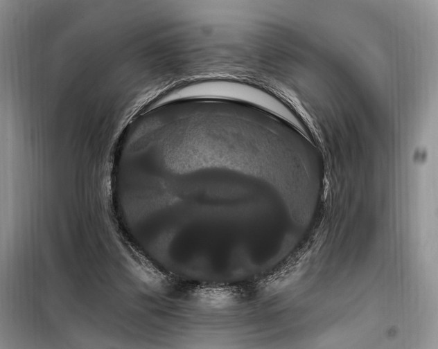 X0000098130299200804171528