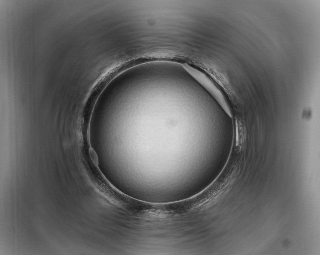 X0000098130300200804171528