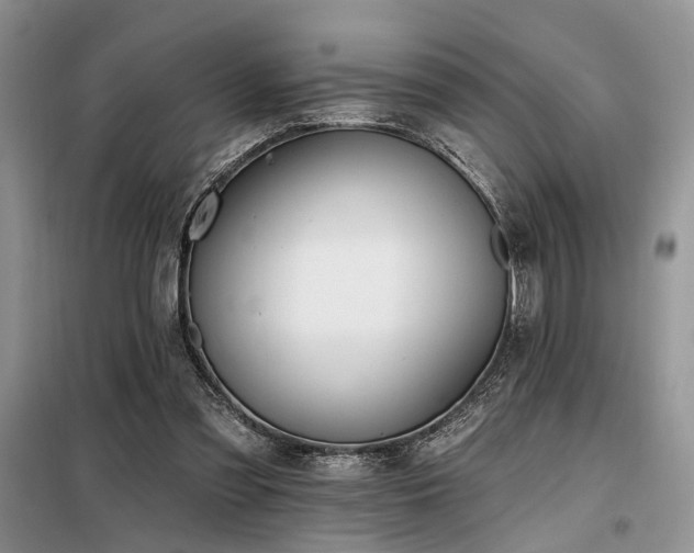 X0000098130301200804171528