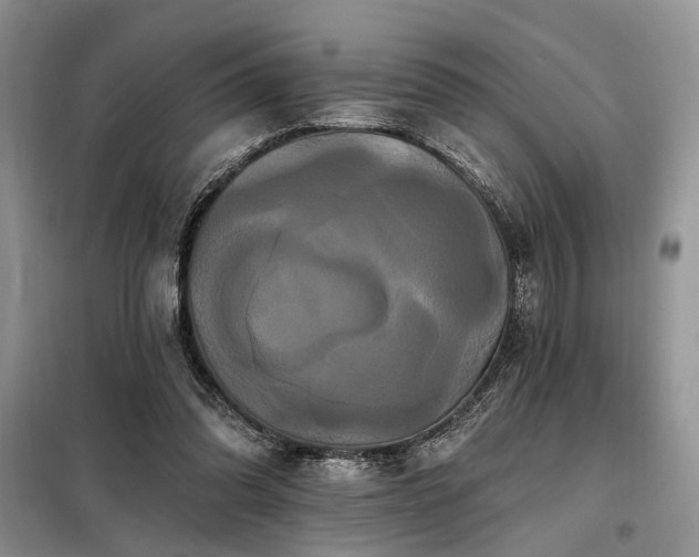 X0000098130302200804171528