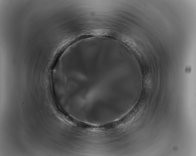 X0000098130303200804171528
