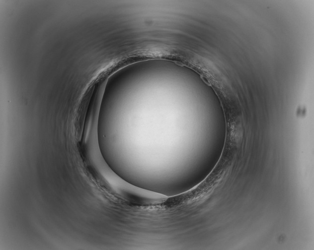 X0000098130304200804171528