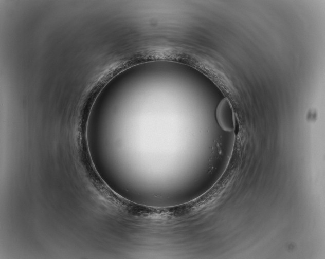 X0000098130306200804171528
