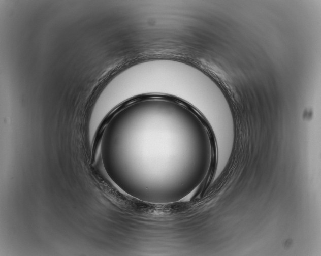 X0000098130308200804171528