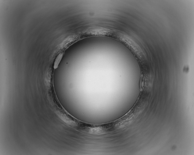 X0000098130309200804171528