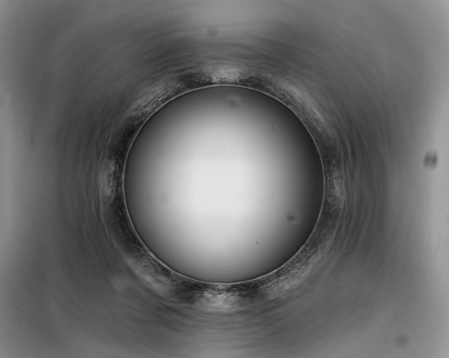 X0000098130311200804171528