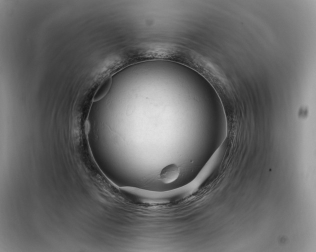 X0000098130312200804171528
