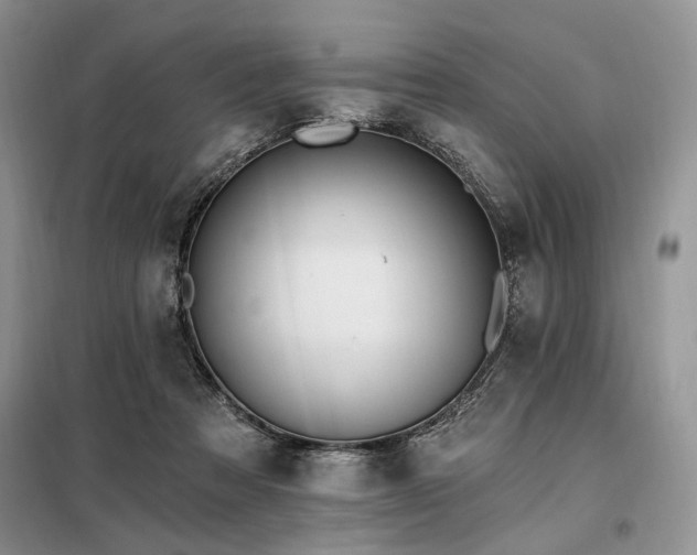 X0000098130313200804171528