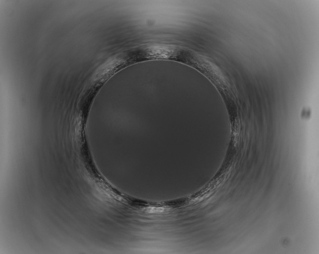 X0000098130314200804171528