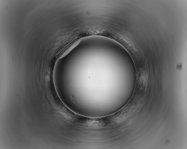 X0000098130315200804171528